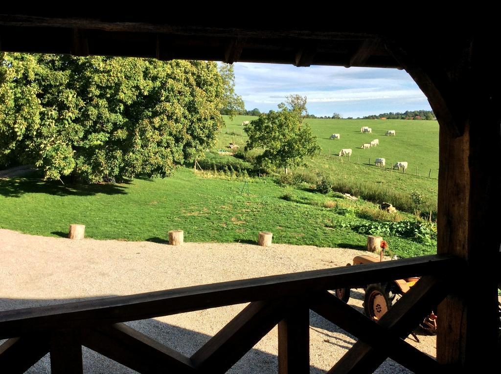 Domaine De Noyer Bed and Breakfast Saint-Christophe-en-Brionnais Værelse billede